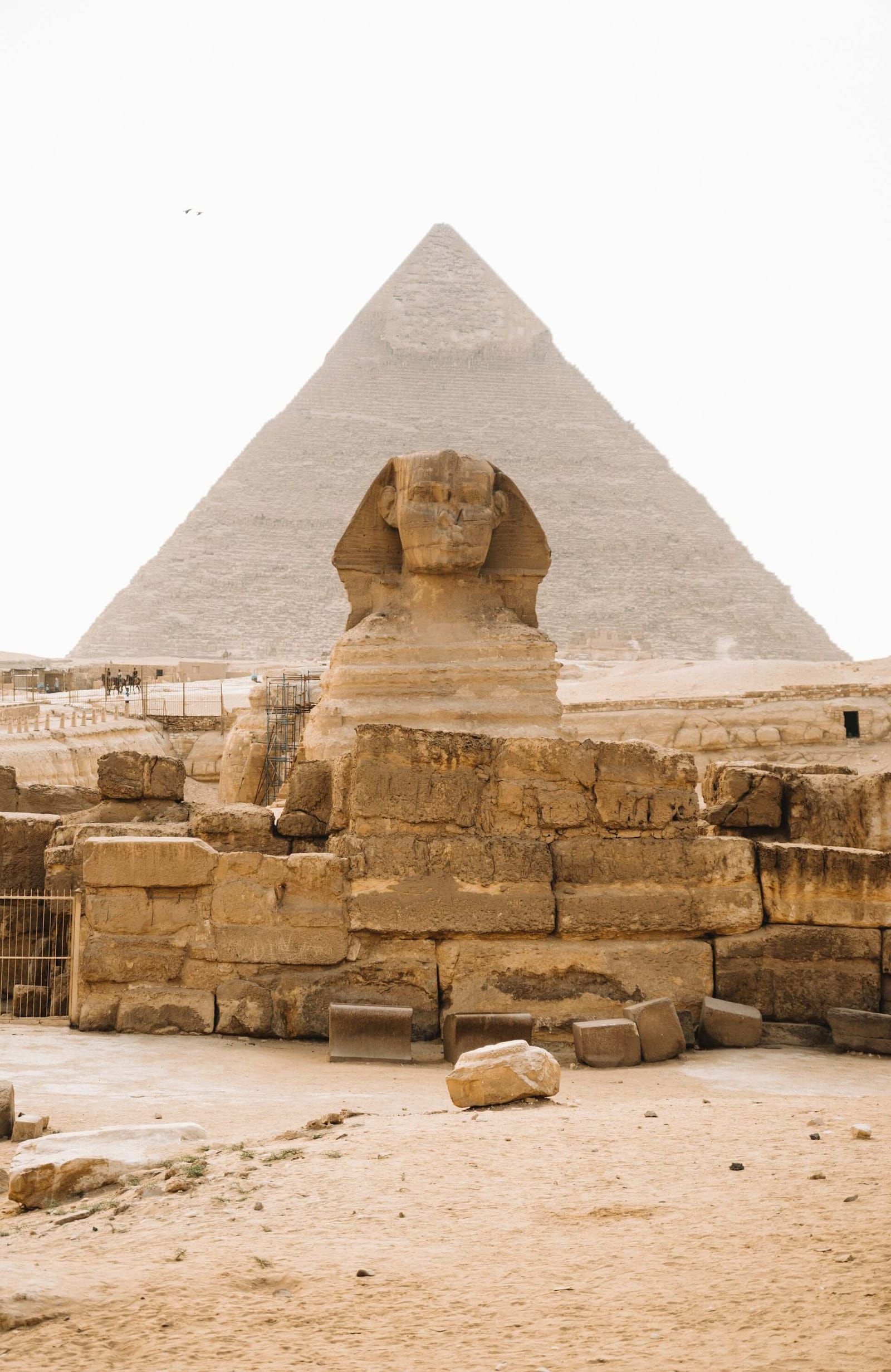 Le Grand Sphinx de Gizeh, corps de lion et tête de pharaon