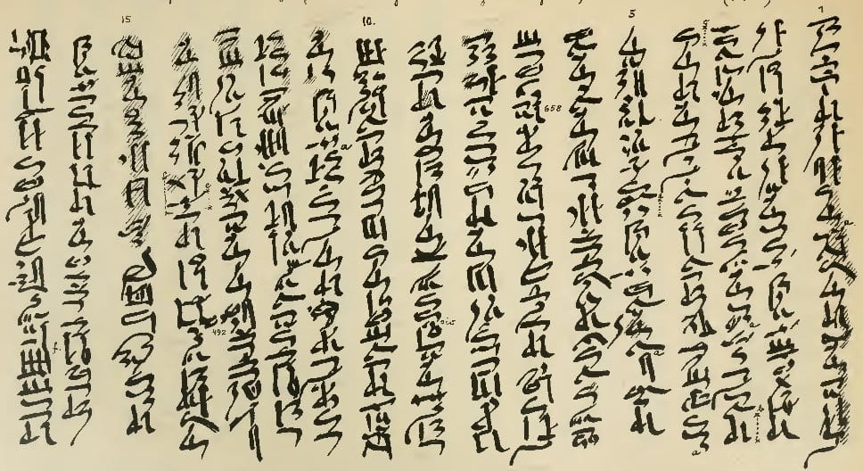 Papyrus couvert de colonnes d'écriture cursive égyptienne