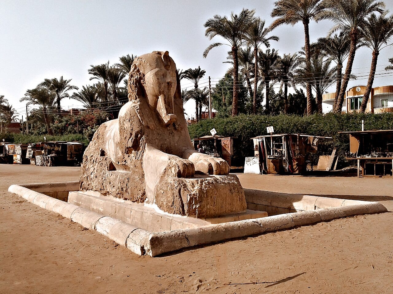 Un grand sphinx taillé dans l'albâtre, couché au milieu des ruines