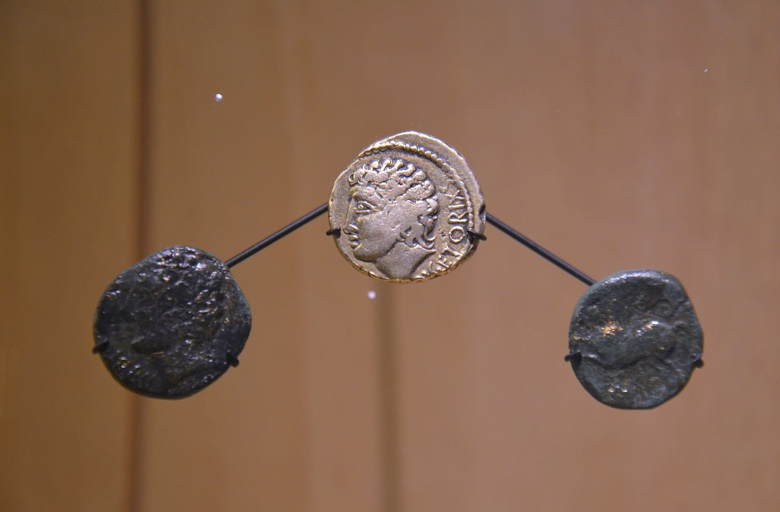 Monnaies gauloises en or et en bronze présentées dans une vitrine de musée