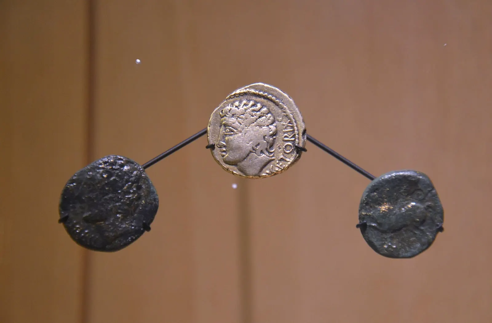 Monnaies gauloises en or et en bronze présentées dans une vitrine de musée