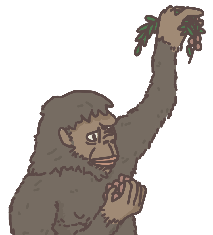 Discute avec Australopithèque