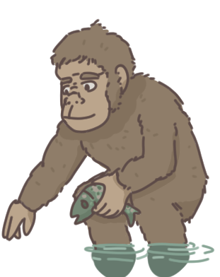 Discute avec Homo Habilis