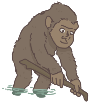 Discute avec Homo Habilis