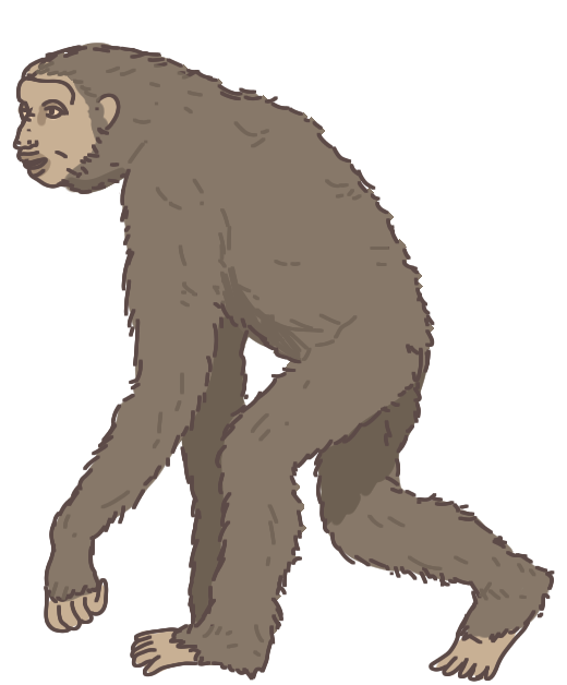 Discute avec Toumaï