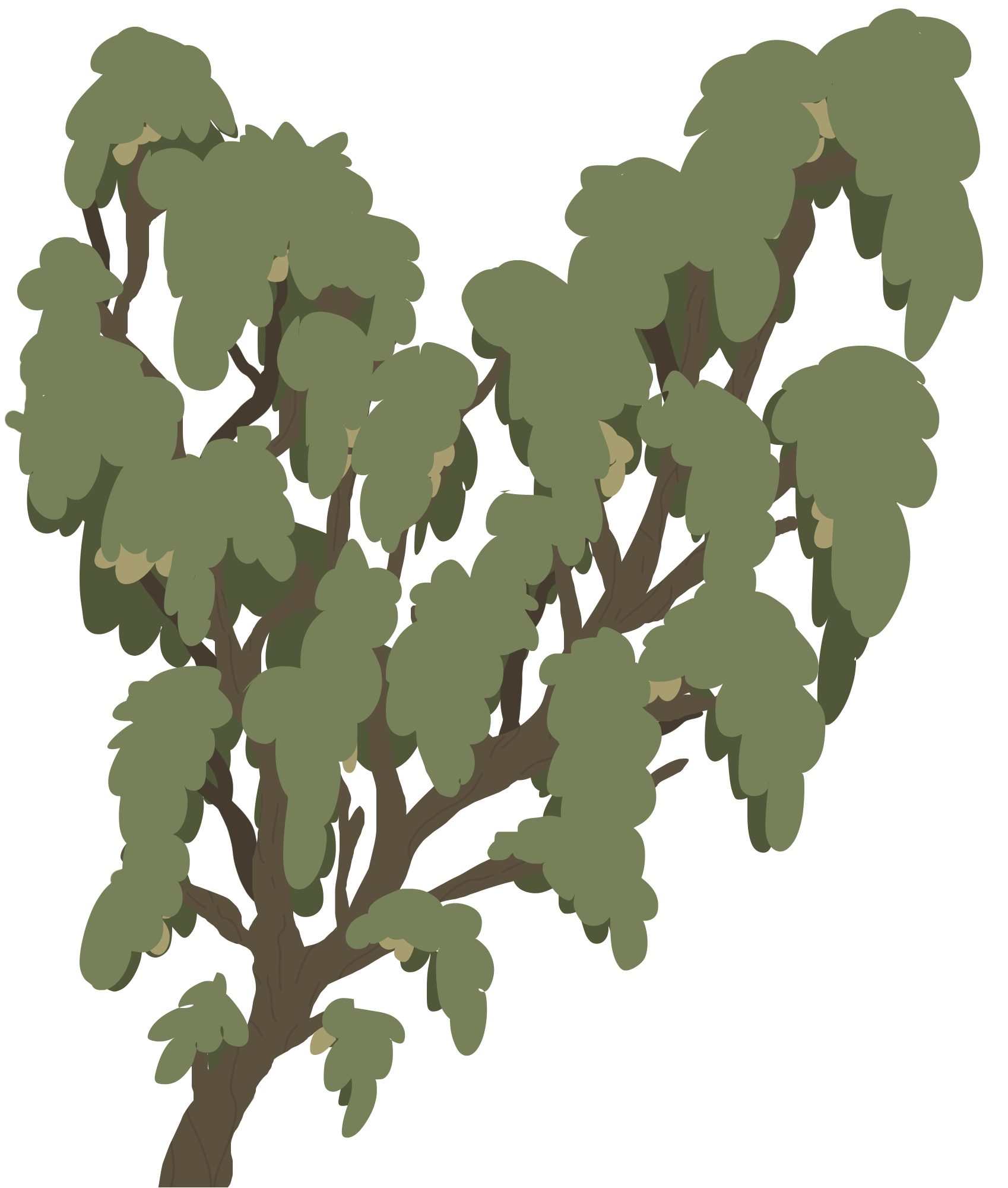Arbre fruitier