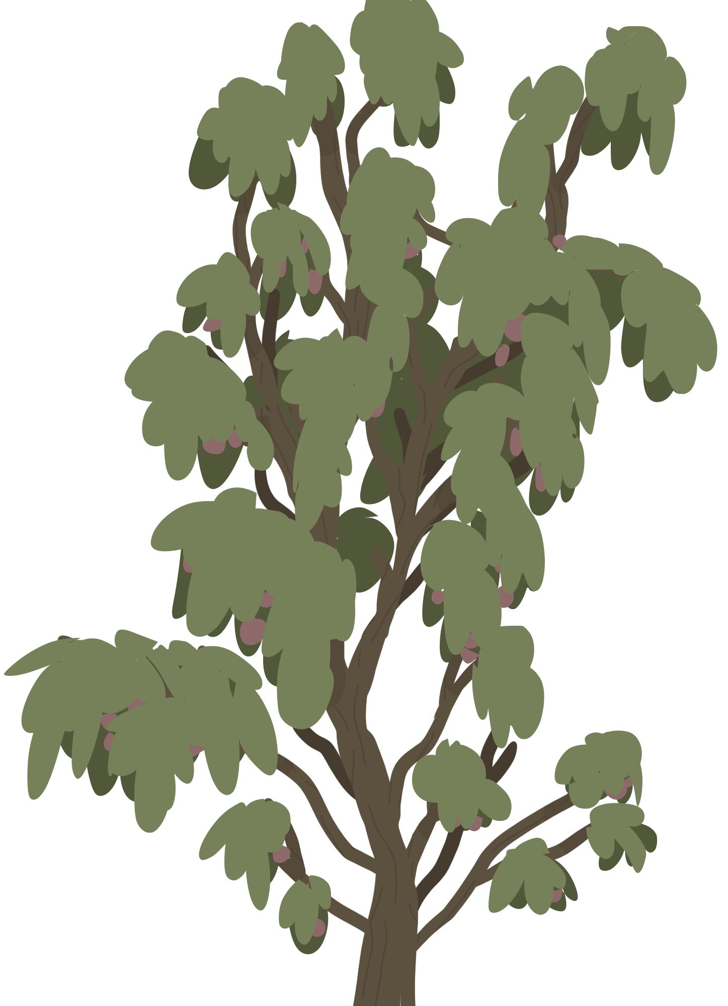 Arbre fruitier