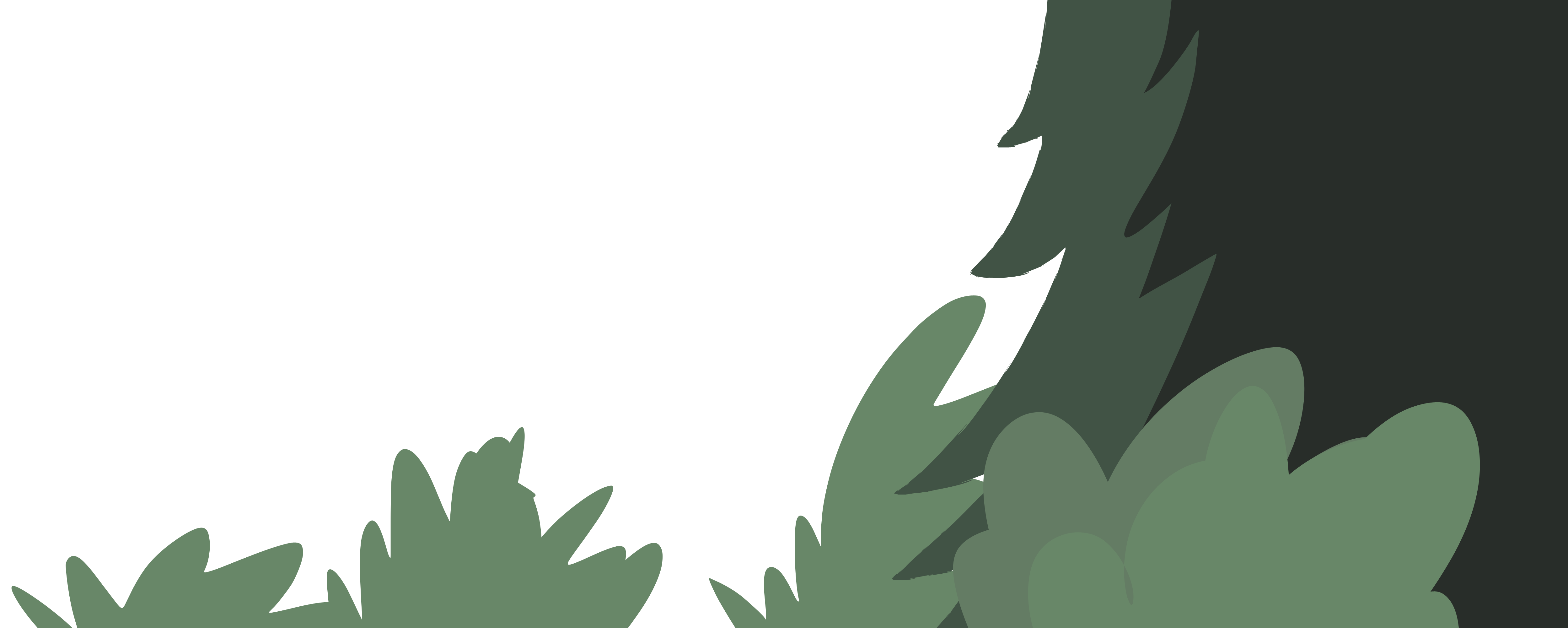 Transition Grotte In