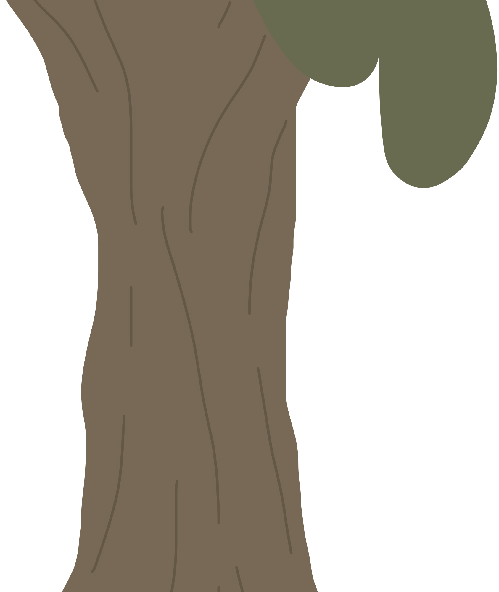 Arbre 3