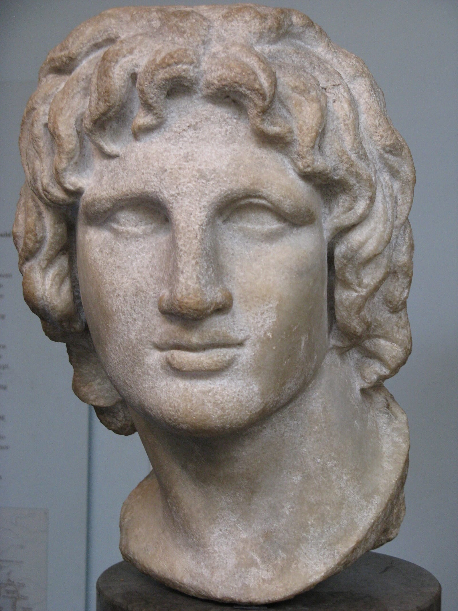 Buste de marbre d'un jeune homme aux cheveux ondulés, portrait d'Alexandre le Grand