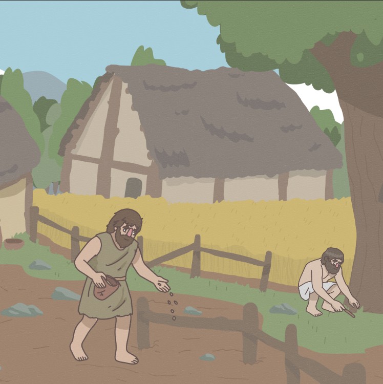 Début du Néolithique