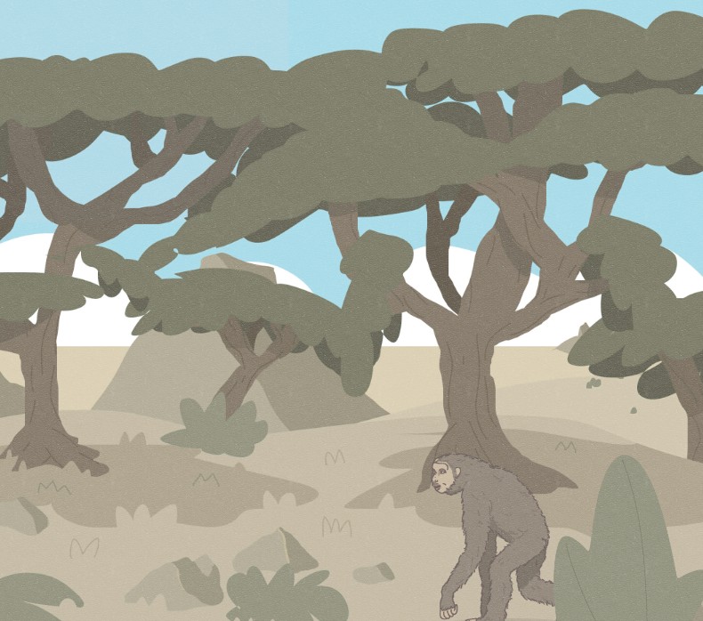 Apparition des premiers Hominidés en Afrique