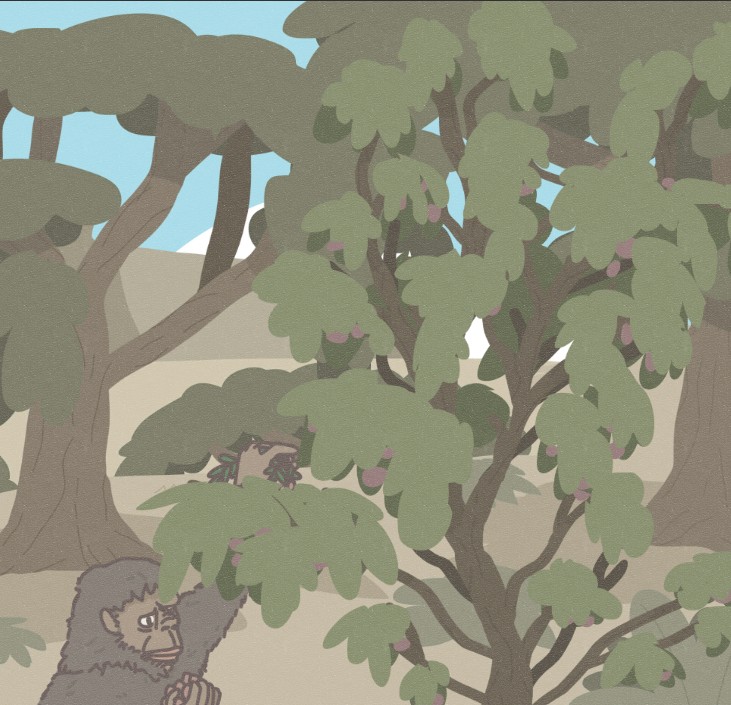 Apparition des Australopithèques