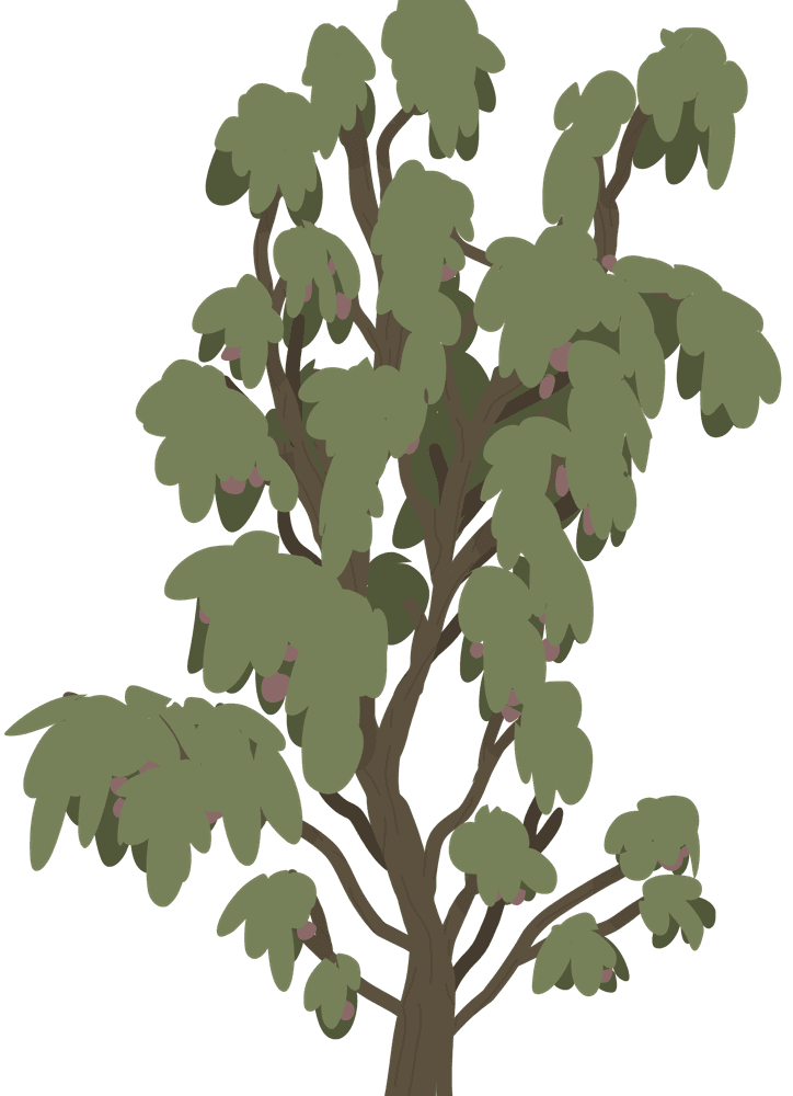 Arbre fruitier