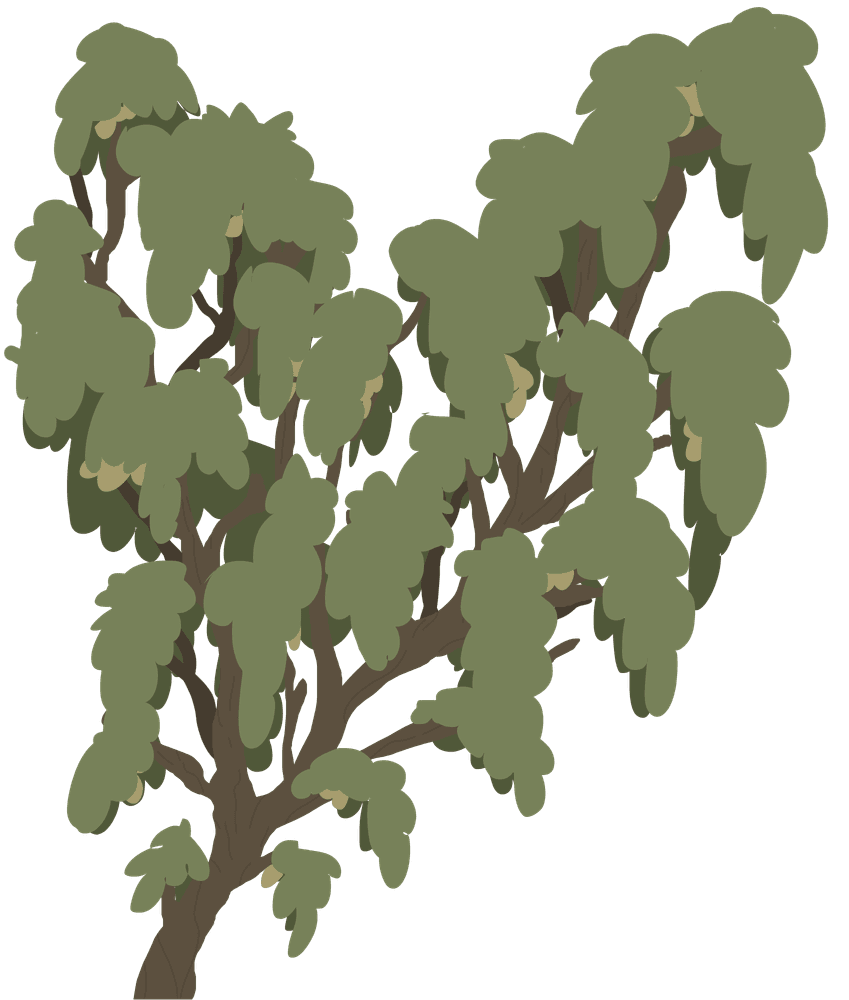 Arbre fruitier